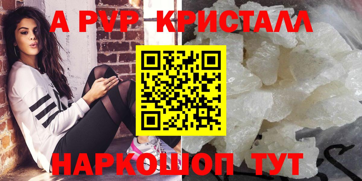A PVP СК КРИС Магадан