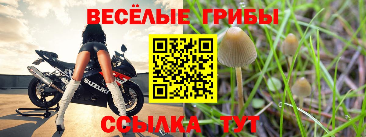 Магадан  Псилоцибиновые грибы Magic Shrooms  Галлюциногенные грибы Magic Shrooms  Вход с VPN 