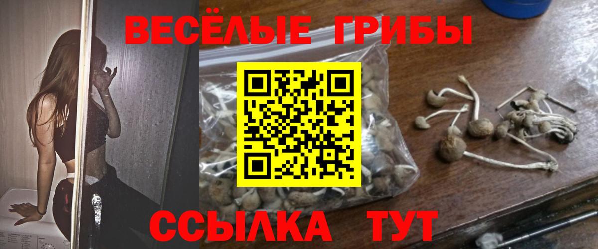 Галлюциногенные грибы прущие грибы Магадан